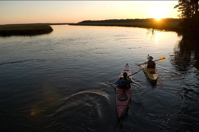 2-Hour Guided Kayak Nature Tour of Hilton Head - Safety Guidelines