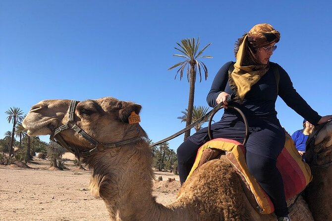 2-Hour Quad Bike & Camel Ride in Marrakech Palmeraie - Last Words