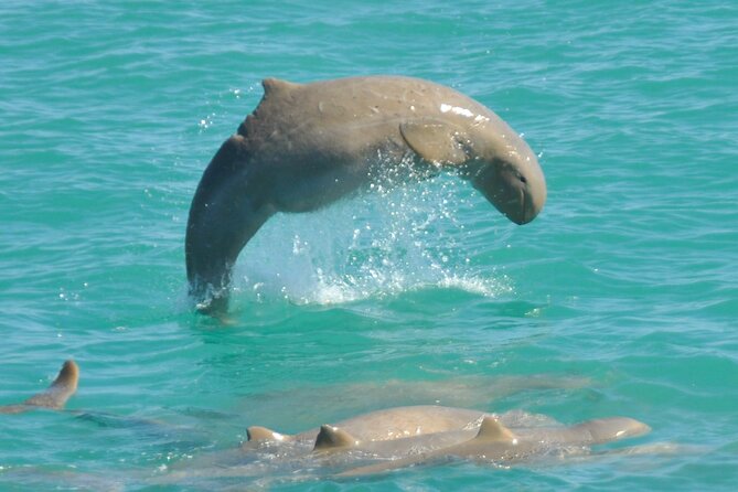 3.5 Hour Broome Sunset Cruise - Common questions