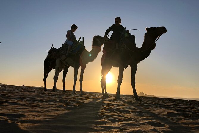 3-Hour Camel Ride at Sunset - Last Words