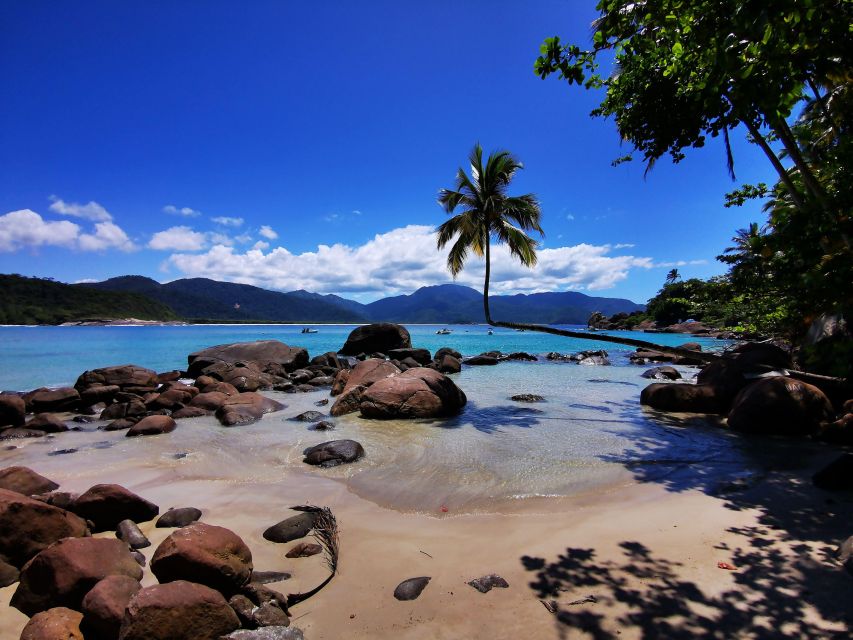360 Tour of Ilha Grande - Speed Boat Tour - Group Size & Guide Information