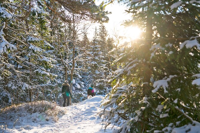 4 Hours Winter View of the Oslofjord Walk Tour - Last Words