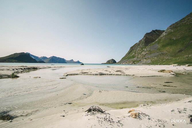 5 Highlights Of Lofoten From Svolvær - Last Words