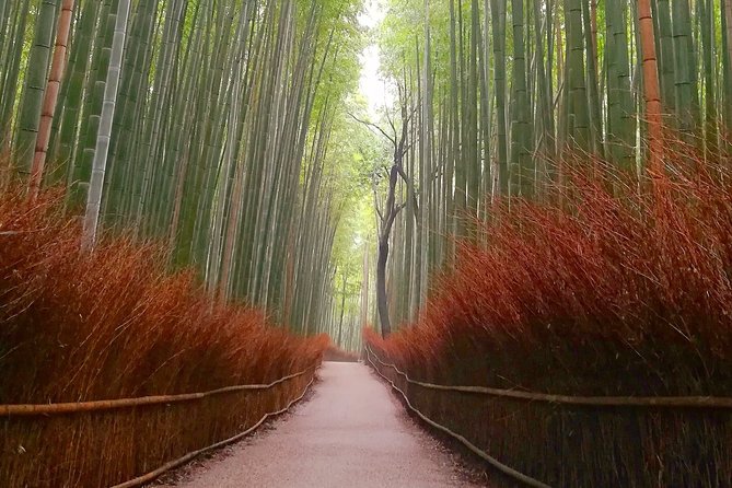 5 Top Highlights of Kyoto With Kyoto Bike Tour - Last Words