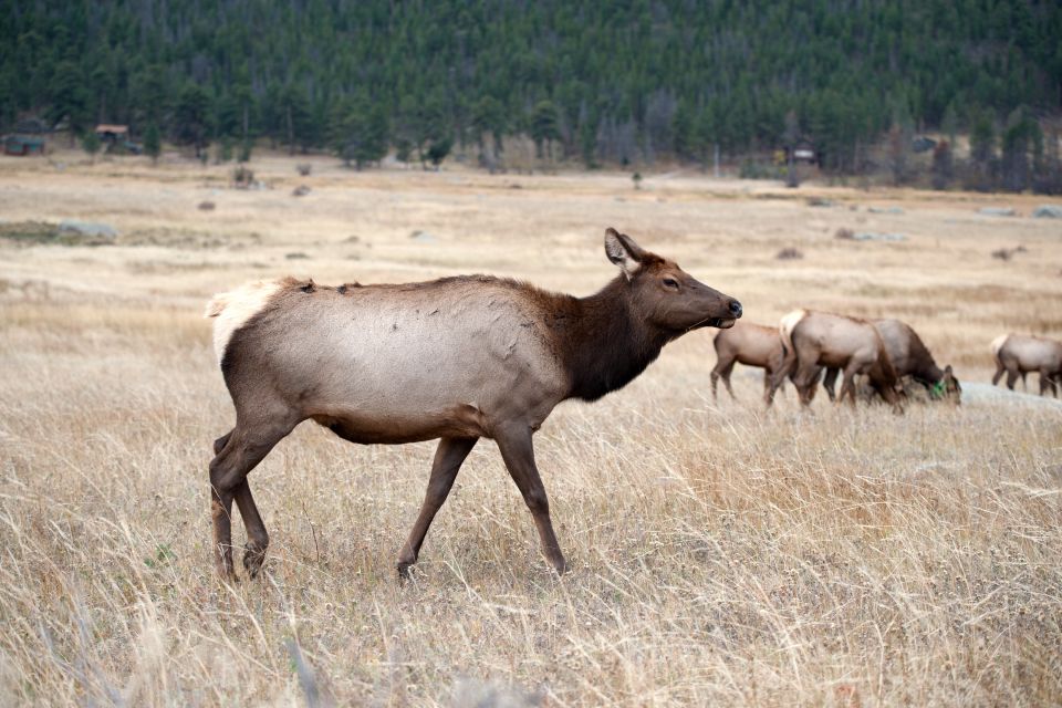 7-Day Yellowstone National Park Rocky Mountain Explorer - Tour Locations