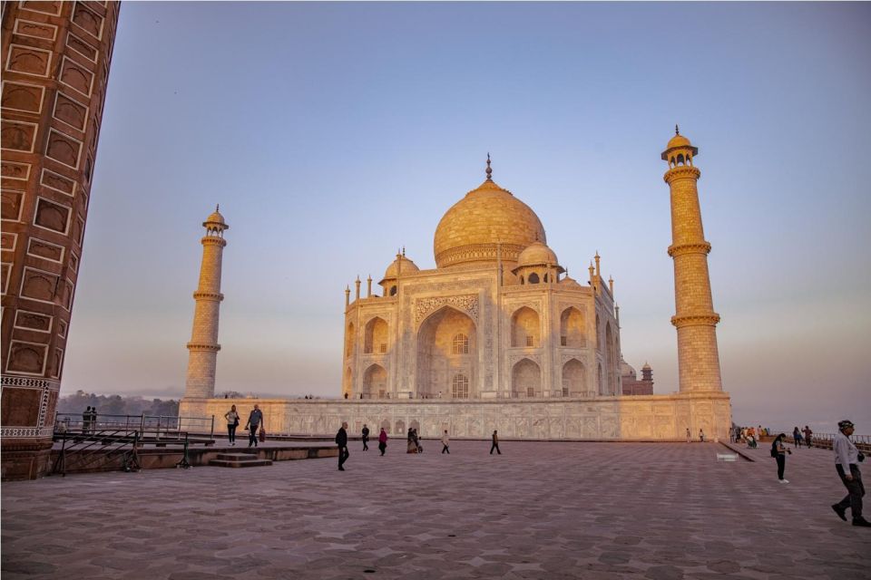 8 Days Golden Triangle India With Wild Life Tour From Delhi - Wildlife Encounters Included