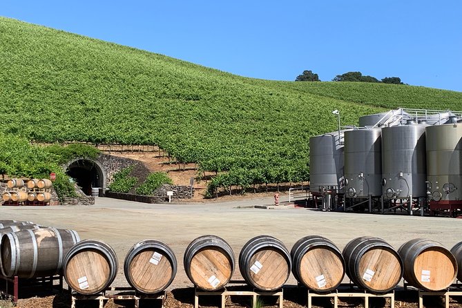 8-Hour Private Sonoma or Napa Wine Tour With Concierge Service - Last Words