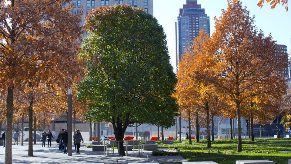 9/11 Memorial and Ground Zero Tour by Local Guide - Directions