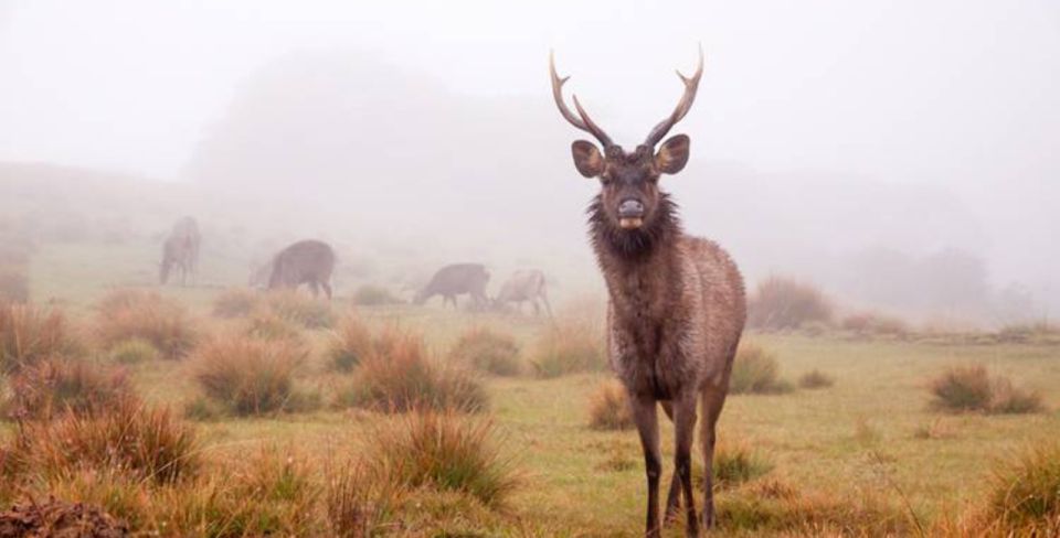 A 7-Day Nature and Wildlife Exploring - Day 7: Farewell and Departure