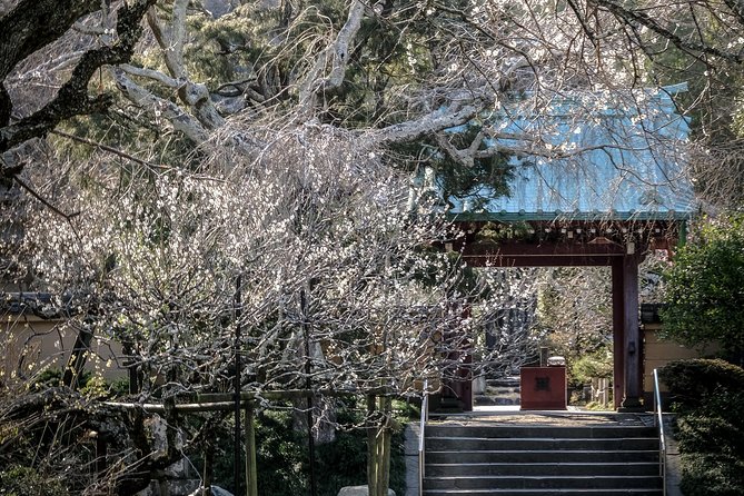 A Fun Day Out Discovering Kamakura - Souvenir Shopping in Kamakura