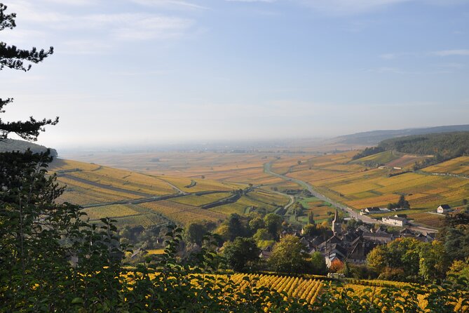 A Private Wine Tasting Tour Through Burgundy (Mar ) - Company Information
