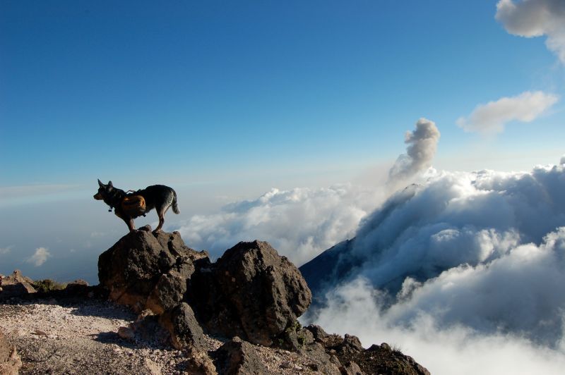 Acatenango Volcano 2-Day Hike - Last Words