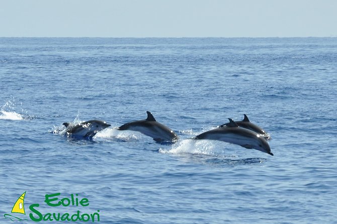 Aeolian Islands Speedboat Cruise From Tropea - Assistance and Additional Information