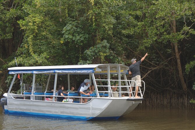 Afternoon Tour Mossman Gorge & Daintree River From Port Douglas - Common questions