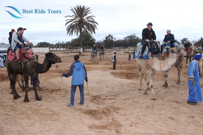 Agadir Camel Riding - Common questions