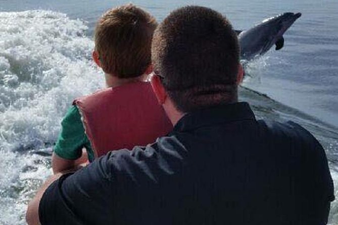 Alabama Gulf Coast Dolphin Cruise - Directions