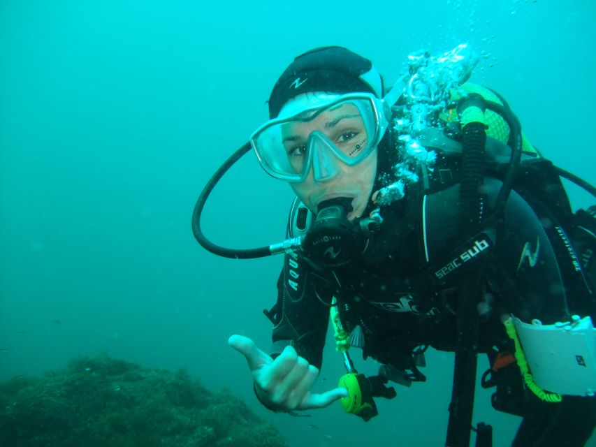 Albufeira: Scuba Diving Experience for Beginners - Common questions