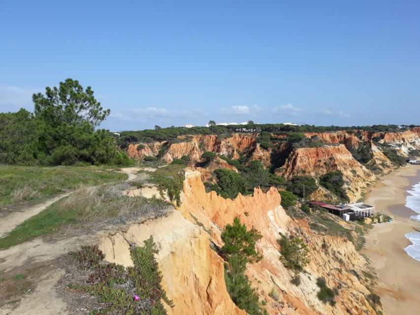 Albufeira Sightseeing in a Tuk Tuk - Unique Experience - Last Words