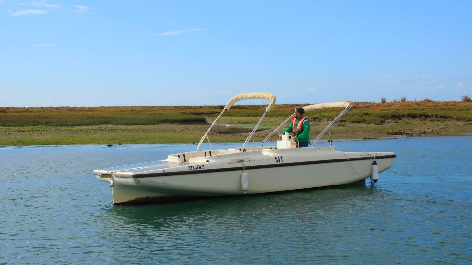 Algarve: Eco Boat Tour in the Ria Formosa Lagoon From Faro - Directions and Tips for Visitors