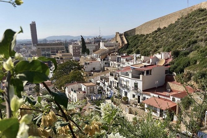 Alicante Historic Small Group Tour With Tapas Tasting - Common questions