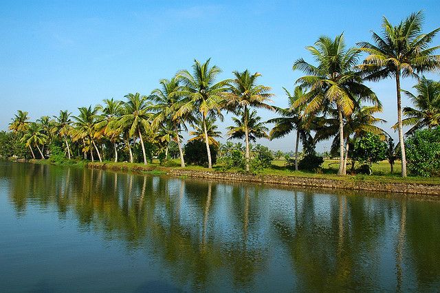 Alleppey / Alappuzha Backwater Canoe (Shikara) Cruise - Last Words