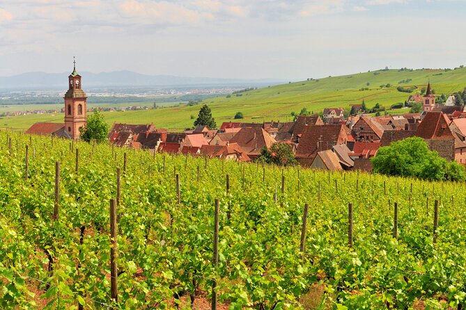 Alsace Wine Route Small Group Half-Day Tour With Tasting From Strasbourg - Last Words