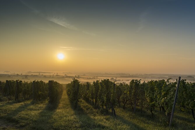 Alsace Wineries Private Half- or Full-Day Tour From Colmar (Mar ) - Common questions