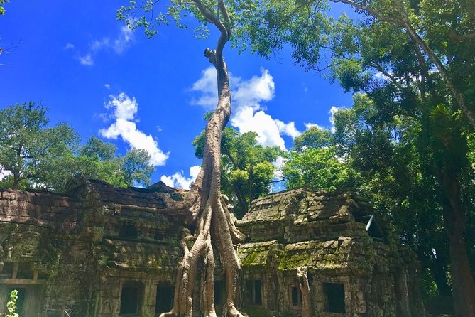 Angkor Wat One Day Private Tour for All Highlight Angkor Temples - Last Words