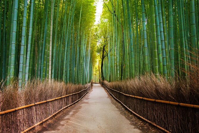 Arashiyama Walking Tour - Bamboo Forest, Monkey Park & Secrets - Last Words