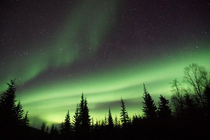 Arctic Circle and Northern Lights Tour From Fairbanks - Common questions
