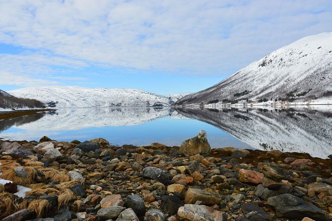 Arctic Fjord and Landscape Tour - Additional Information and Considerations