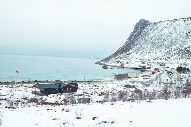 Arctic Fjord Sightseeing by Minibus - Additional Information