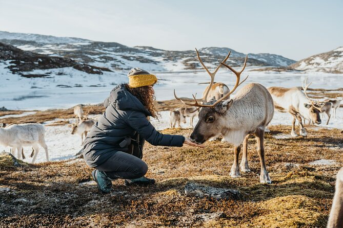 Arctic Fjords and Reindeer Experience – Small Group Tour - - Common questions