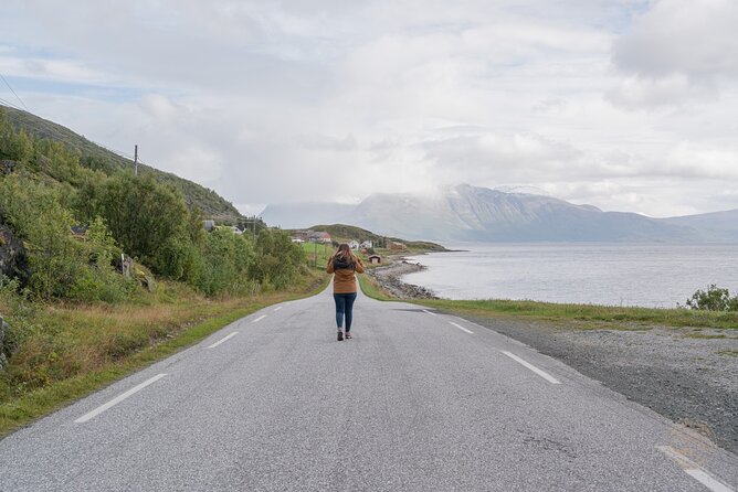 Arctic Roadtrip: Fjords With Scenic Picnic Sightseeing - Common questions