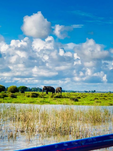 Arugambay: Mangrove Watching in Pottuvil Lagoon - Tour Guides and Wildlife Viewing