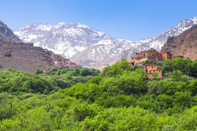 Atlas Mountains and Berber Villages Day Trip From Marrakech With Lunch - Customer Reviews & Testimonials