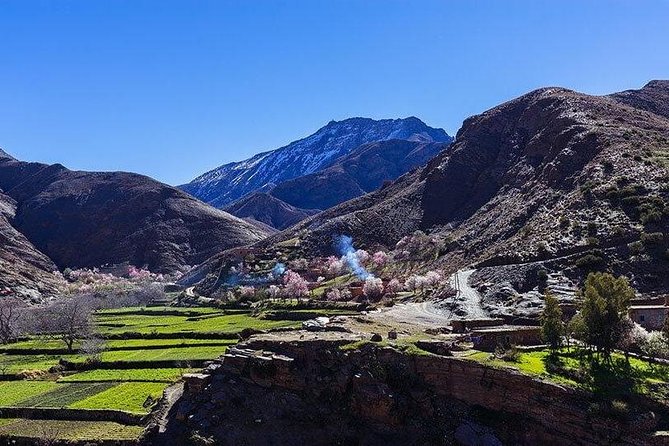 Atlas Mountains and Three Valleys & Waterfalls With Camel Ride Guided Day Trip - Last Words