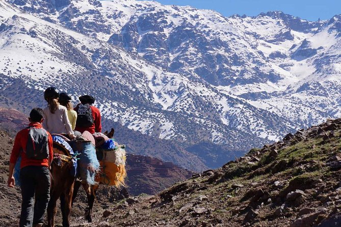 Atlas Mountains Day Tour With Camel Ride - How to Book