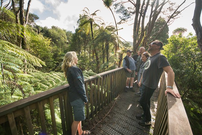 Auckland City and Waitakere Ranges Regional Park Full-Day Tour (Mar ) - Common questions