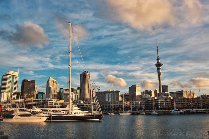 Auckland City Highlights Half Day Tour - Common questions