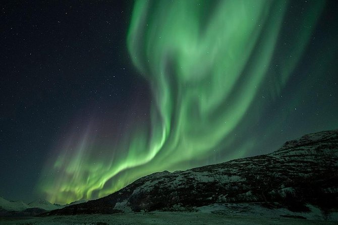 Aurora Hunt Tour With Citizen Science From Tromso - Professional Photos Included - Common questions