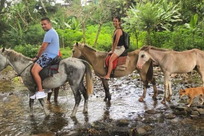 Authentic Fijian Day Tour - Last Words