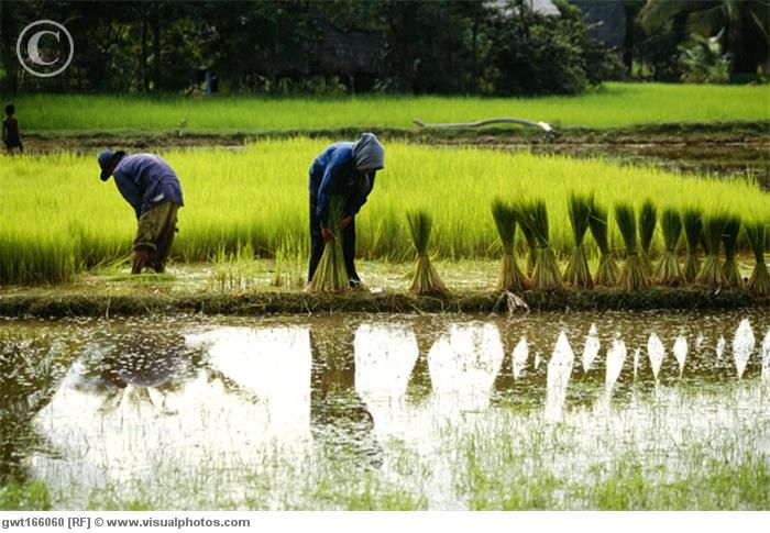 Back to Basics: Village Life Tour From Siem Reap - Authentic Village Experience