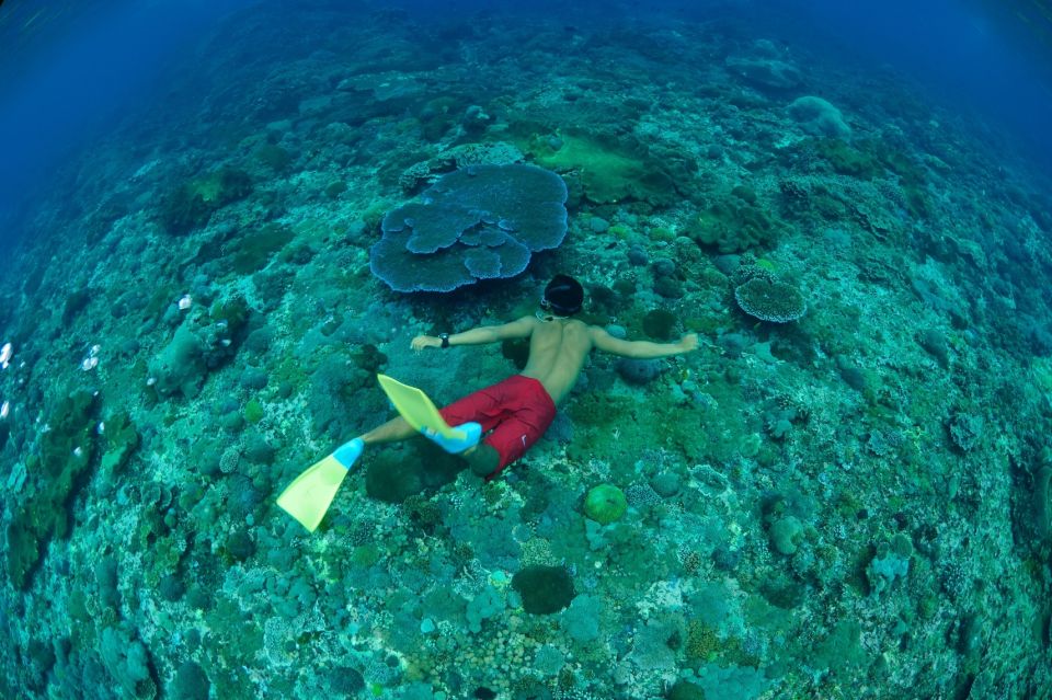 Bali Benoa: Lembongan Day Cruise, BBQ, Kayak & Optional Dive - Common questions