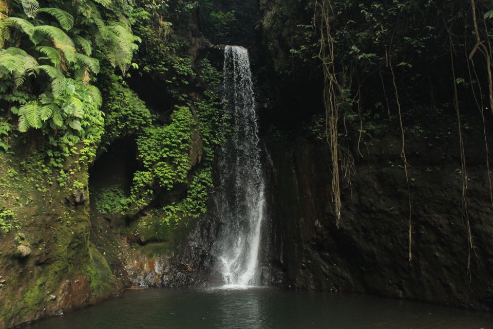 Bali Canyoning: Springs Canyon - Tips for First-Timers