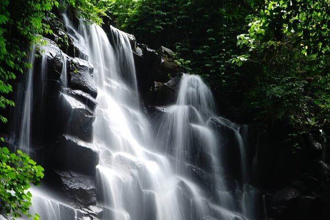 Bali Tops Waterfalls And Tegalalang Rice Terrace - Common questions