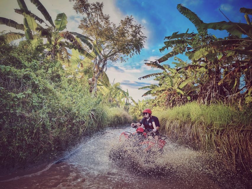 Bali: Ubud Gorilla Cave Track ATV & Waterfall Tour With Meal - Last Words
