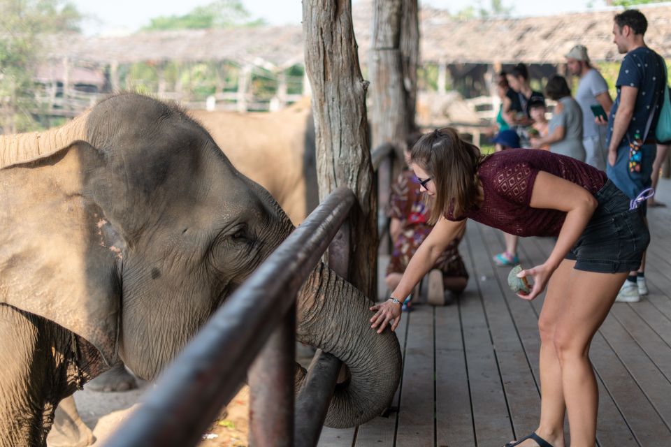 Bangkok: Elephant Sanctuary & Erawan Waterfall Tour - Common questions
