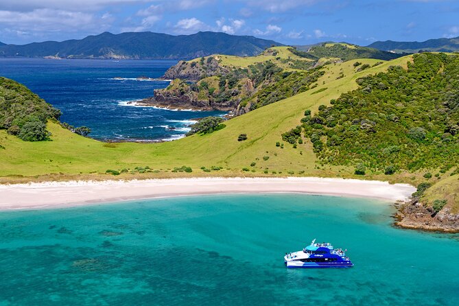Bay of Islands Discovery Experience From Auckland Incl. Hole in the Rock Cruise - Additional Considerations