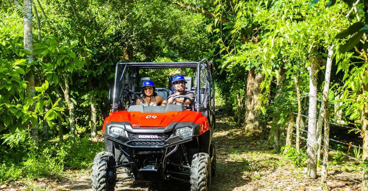 Bayahibe/La Romana: 4x4 Buggy and Monkeyland Tour - Just The Basics